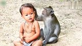 把小孩子和猴子放在一起时猴子的反应亮点了它竟然帮小孩子抓虱子