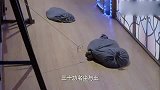 小伙发现后台有炸弹，用尽全身力气避免了爆炸，太厉害了