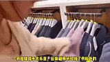 女生主动给女友挑衣服，这一家三口很和谐