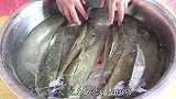 四川人这样做腊鱼，方法简单在家就能做，流程和配方全部都告诉你