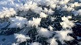冬日的赛里木湖冰花，看到后不禁感叹大自然的神奇