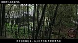 一首充满孤独的唐诗，读完后会怎样感觉自己陷入了孤独之中