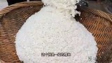 福建闽南传统鲍鱼海鲜肉粽，1颗粽子包9种料，阿姨日包10000个