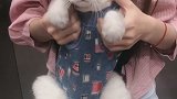 在家母老虎，出门小萌猫