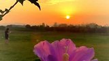 捻人间最明媚的一抹朝阳，于心灵陌上，开一朵感恩之花馥郁芬芳！