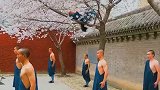 少林寺的武僧，平时就是这样练武的，总教头躺在树上监督弟子们！
