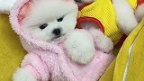 你们爱了吗