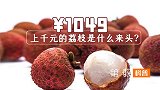 荔枝千元一斤不算贵？最贵55万一颗，增城挂绿凭啥卖出天价？