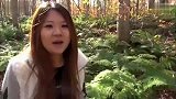 日本旅游-20111107-日本红叶林中拜山神