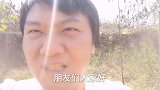 很贵的果子，种植这个一年赚几十万，你们认识吗？