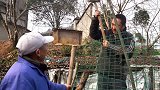 年夜饭必备“梅菜扣肉”农家做法，口感丰富，入口即化