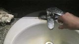 自来水与净水后水在显微镜下观察