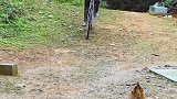 拆拆拆.哎呦妈呀又整错了