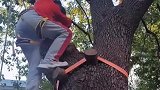 爬树成了体育课，一小学推出爬树课，全校每名学生都要参与