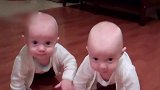 两个超可爱的小宝宝，爬来爬去，这也太可爱了！