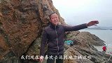 春季各种五颜六色的漂亮鱼洄游水坑栖息