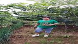 逗婆婆开心，差点被婆婆揍一顿
