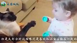 宝宝生气不理小猫，接下来请注意猫咪的动作，真是看一次笑一次