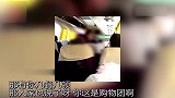 丽江疑再现不合理低价团 导游骂游客铁公鸡