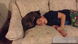 猫咪很认真的在舔小主人的耳朵，舒服的都睡着了，看着就是爽！