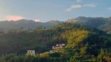 谁知道我手中的是什么瓜