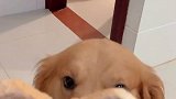 原来吐司也能这么玩