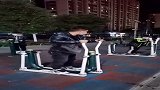 这回出丑了，太无情了