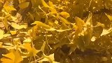 在单调的生活中寻觅风景，总会收获美好！