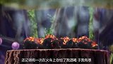 美食猎人：次郎锻炼阿虏，结果阿虏感觉自己身体很重