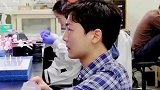 国外发明磁控线型机器人，可游走在大脑血管中清除血栓