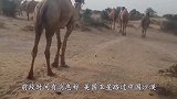 美国卫星路过中国沙漠，发现了神秘“黑点”，科学家坐不住了