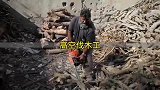 高空伐木工的工作为什么如此危险