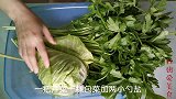 做浆水不求人，没有浆水引子做出清香美味的浆水，清亮无白花