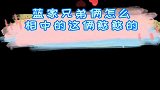 蓝家兄弟俩怎么相中的这俩憨憨的