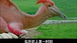 先有鸡还是先有蛋？