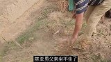 陈亚男父亲坐不住了斥责女婿烂泥扶不上墙，俩人根本不般配