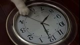 猫：这钟是坏了吧，天天转也不停下！