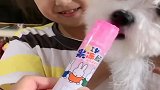 向往的童趣：妈妈给我家狗狗涂口红，你们看可爱吗