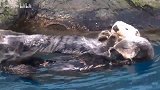 手拉手睡觉觉