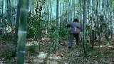 兄妹俩山里打猎无意间发现鬼子的军火库，立马通知民兵，全部缴获