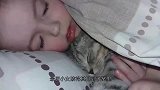 猫咪头被卡住动弹不得，朝着好心人撒娇，猫：救我，我会卖萌