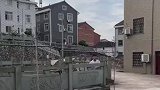 直接空翻过人，还能飞上四米高墙！