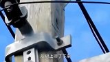 猴子爬到了高压线上，瞬间烧成火猴，镜头拍下全程