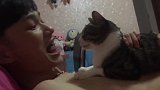 难怪猫咪喜欢男朋友，感情这是遇到同类了，毕竟嘴巴都是这么臭！