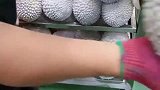粗心的驾驶员，冷藏误开了冷冻，十万块钱的榴莲白费了