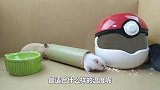 萌宠金大帅：饲养小仓鼠适宜的生活温度是多少
