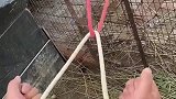 解扣神操作，你学会了吗