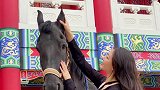 我假装走不动了没想到飓风居然这么暖心……飓风呀 马 动物图鉴