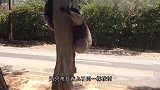 吃个苹果能吃出沧桑感，考拉你到底经历了什么，考拉：鬼知道！