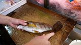 比东星斑还昂贵的三刀鱼，名贵海鲜的代表，做成高级料理，美味！